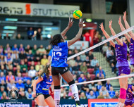 Kann Allianz MTV die CL-Playoffs in Polen noch zu eigenen Gunsten drehen? Foto: Bildermacher-Sport Jens Körner